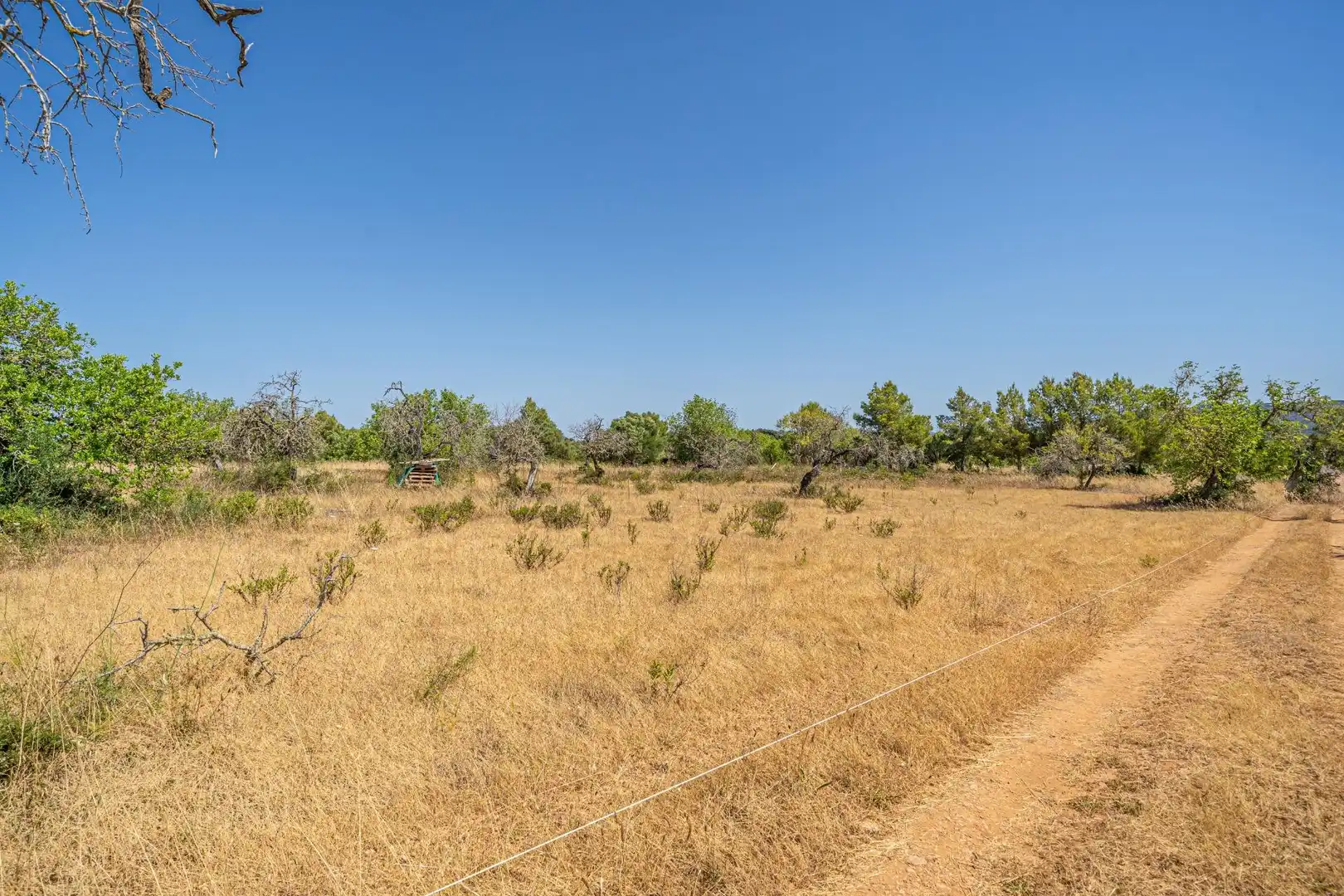 Rural land for sale in Felanitx Poble, imagen 6