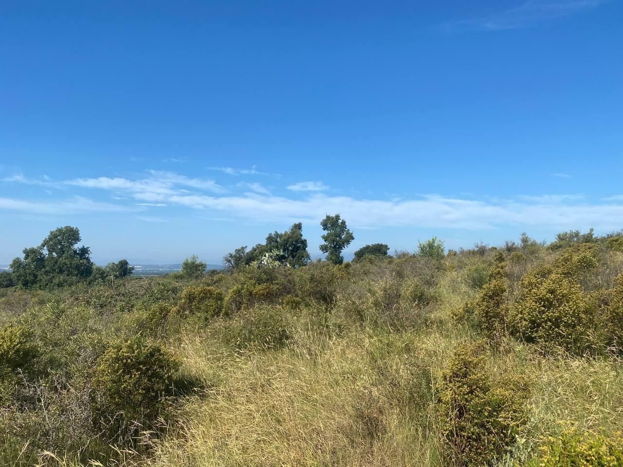 Land for sale in  major, Rabós