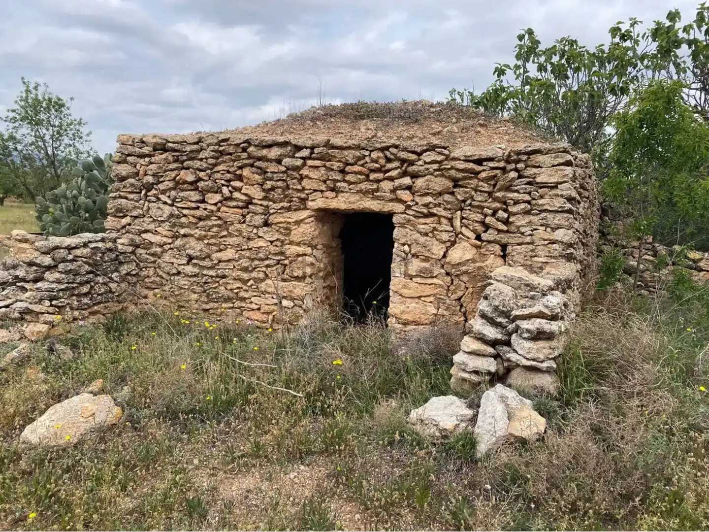 Terrain rustique à vendre à Carrer dels Teixidors, imagen 9