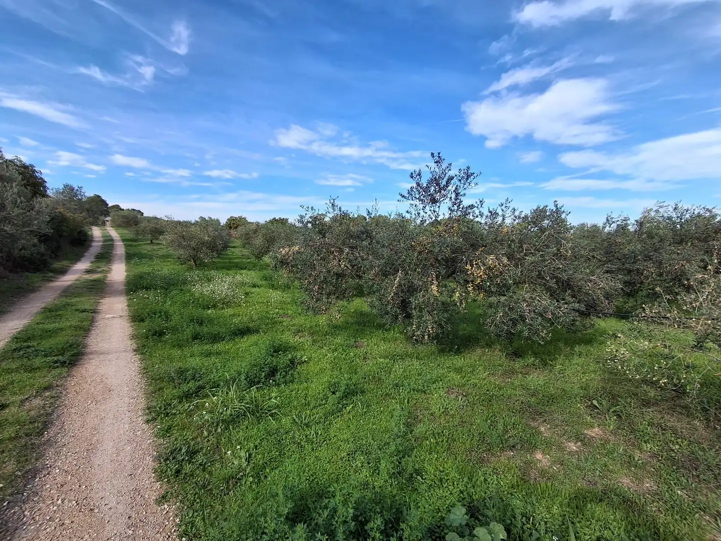 Finca rústica en venta en Rasquera