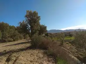 Rural land for sale in Camino Cerrillos, imagen 4