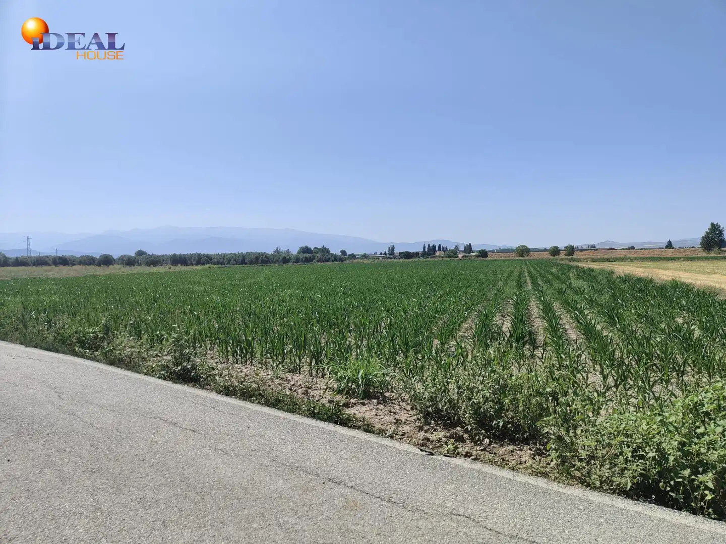 Terreni e lotti in vendita a Carretera Carretera de Pinos Puente, imagen 5