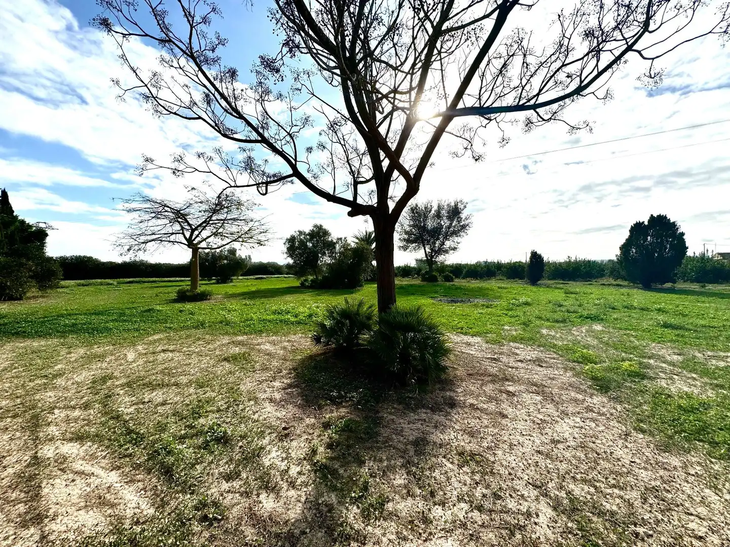 Casa rústica con jardín en venta en Daya Nueva, imagen 59