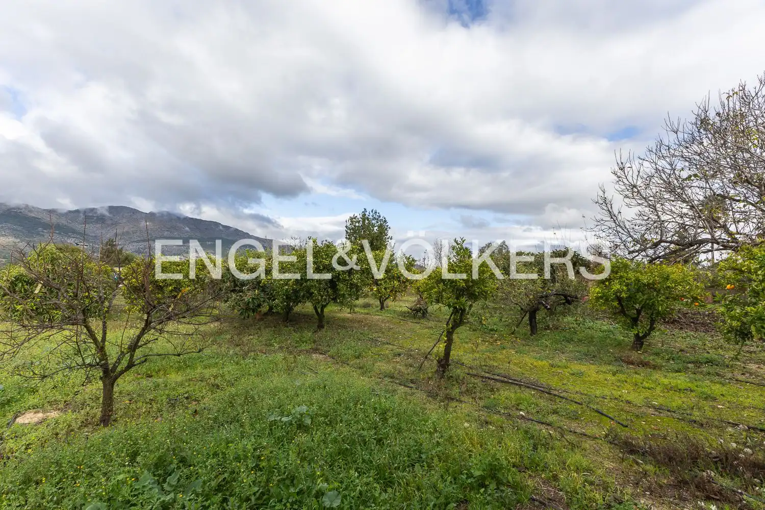 Houses for sale in Orba  with Air Conditioner, Heating and Private garden