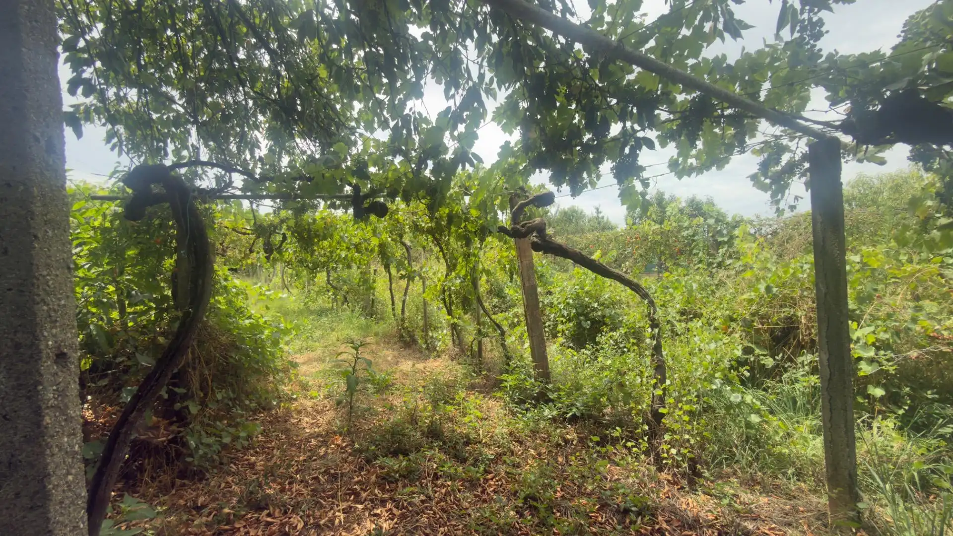 Casa o chalet en venta en Monforte de Lemos con Calefacción, Jardín privado y Terraza