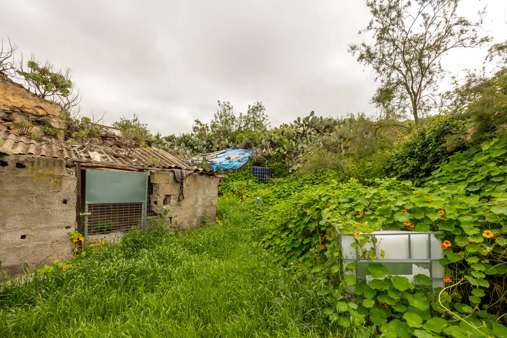 Country homes for sale in Santa Brígida  with Private garden and Terrace