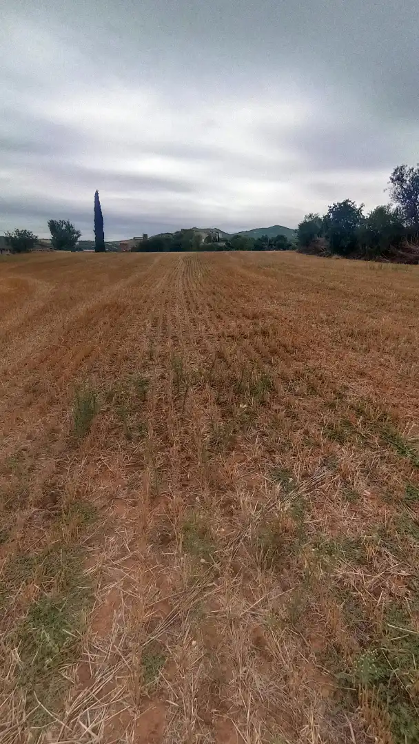 Terreno en venta en Artesa de Segre