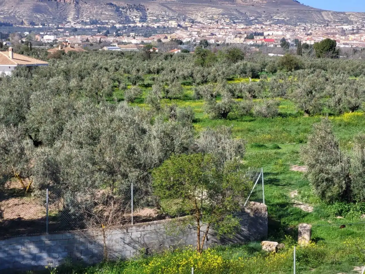 Casa o xalet en venda en Baza amb Terrassa