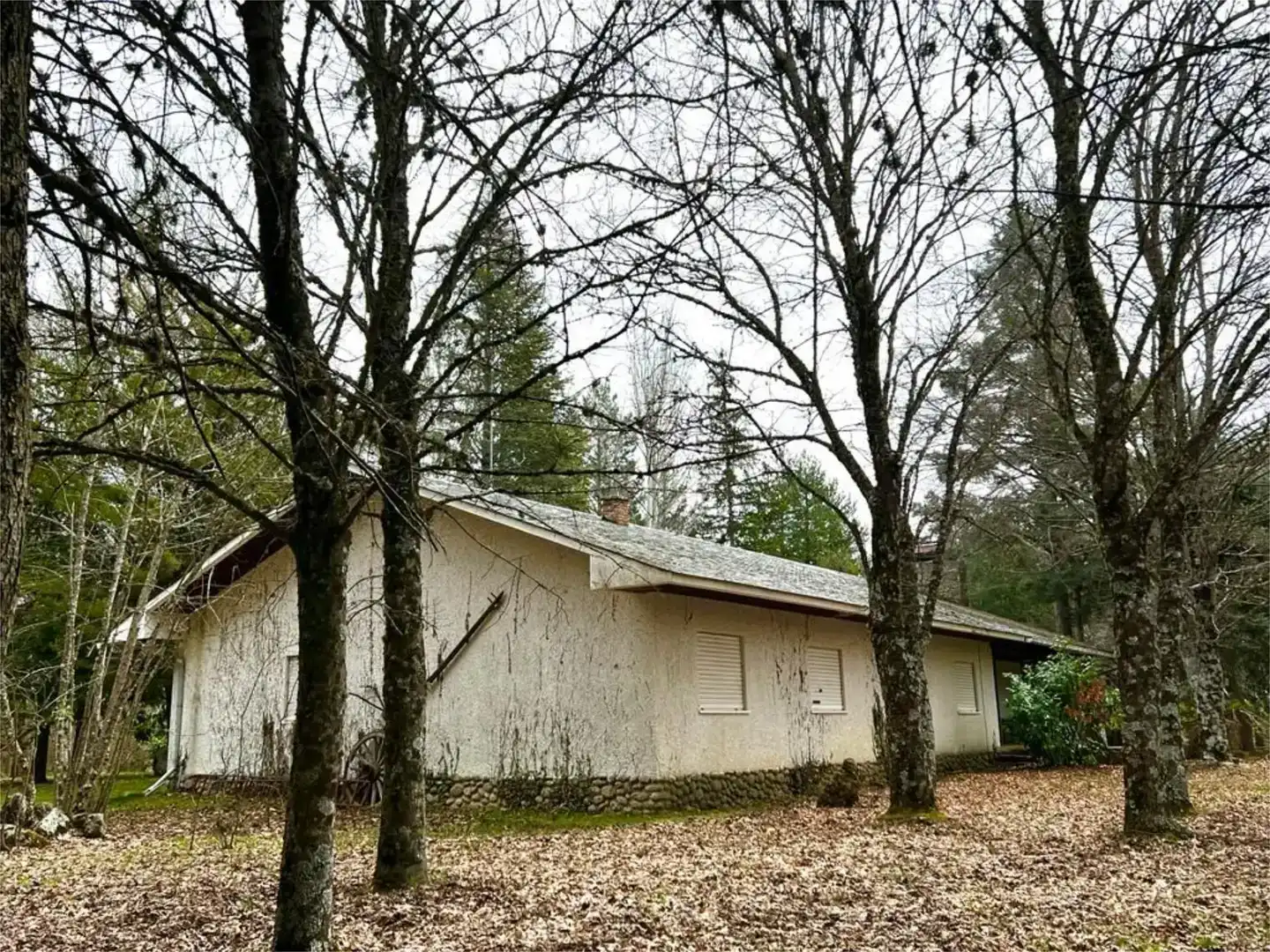 Vista exterior de Finca rústica en venda en Rascafría, Madrid