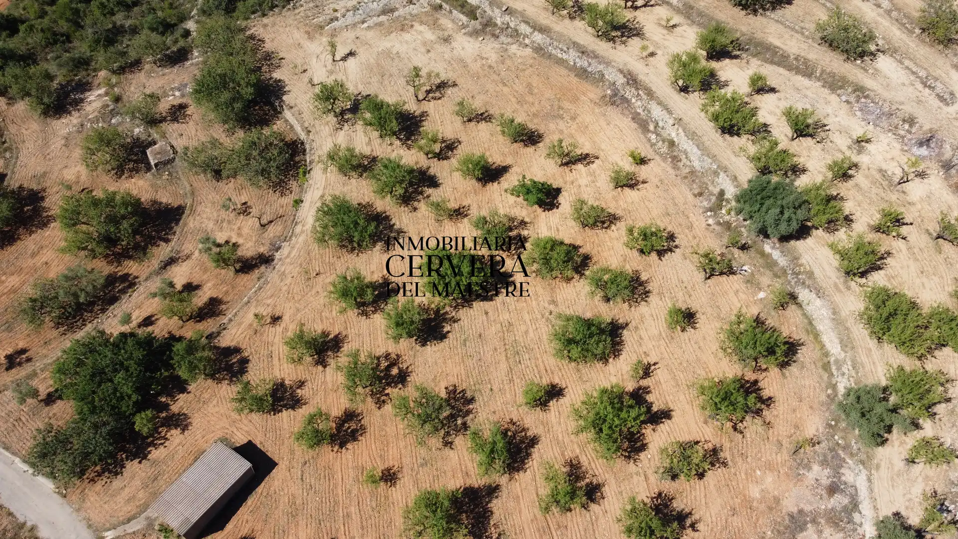 Rural land for sale in Cervera del Maestre, imagen 22
