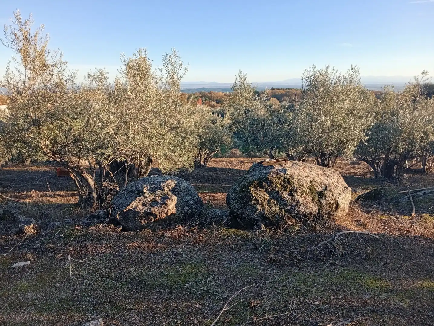 Terreni e lotti in vendita a Villanueva de la Vera, imagen 25