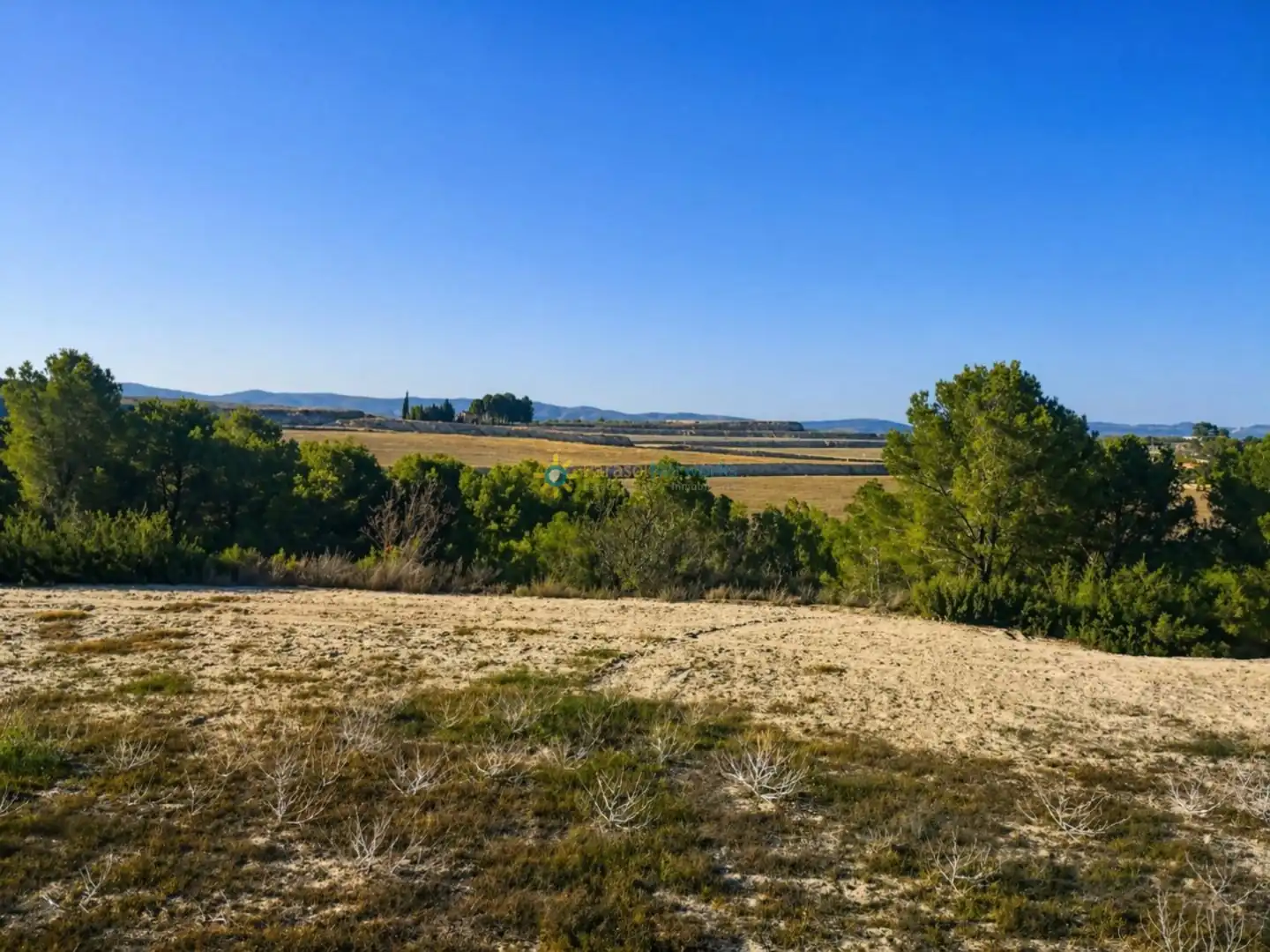 Finca rústica en venta en Albaida con Jardín privado y Trastero