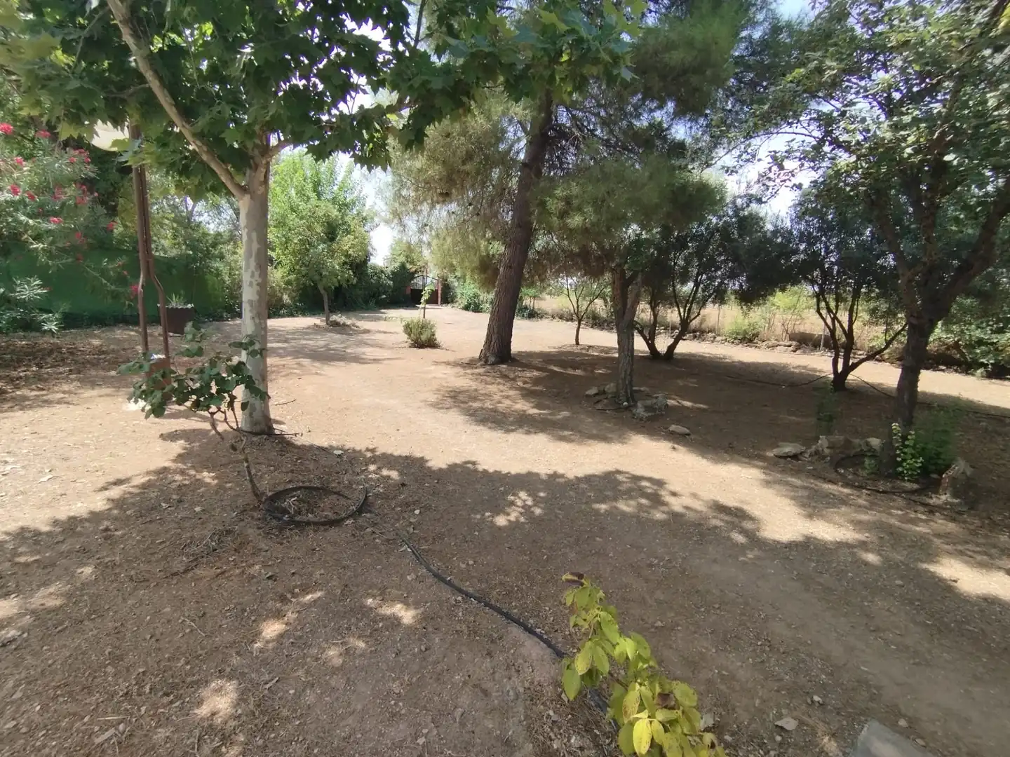 Finca rústica en venda en Argamasilla de Alba amb Jardí privat, Piscina i Moblat