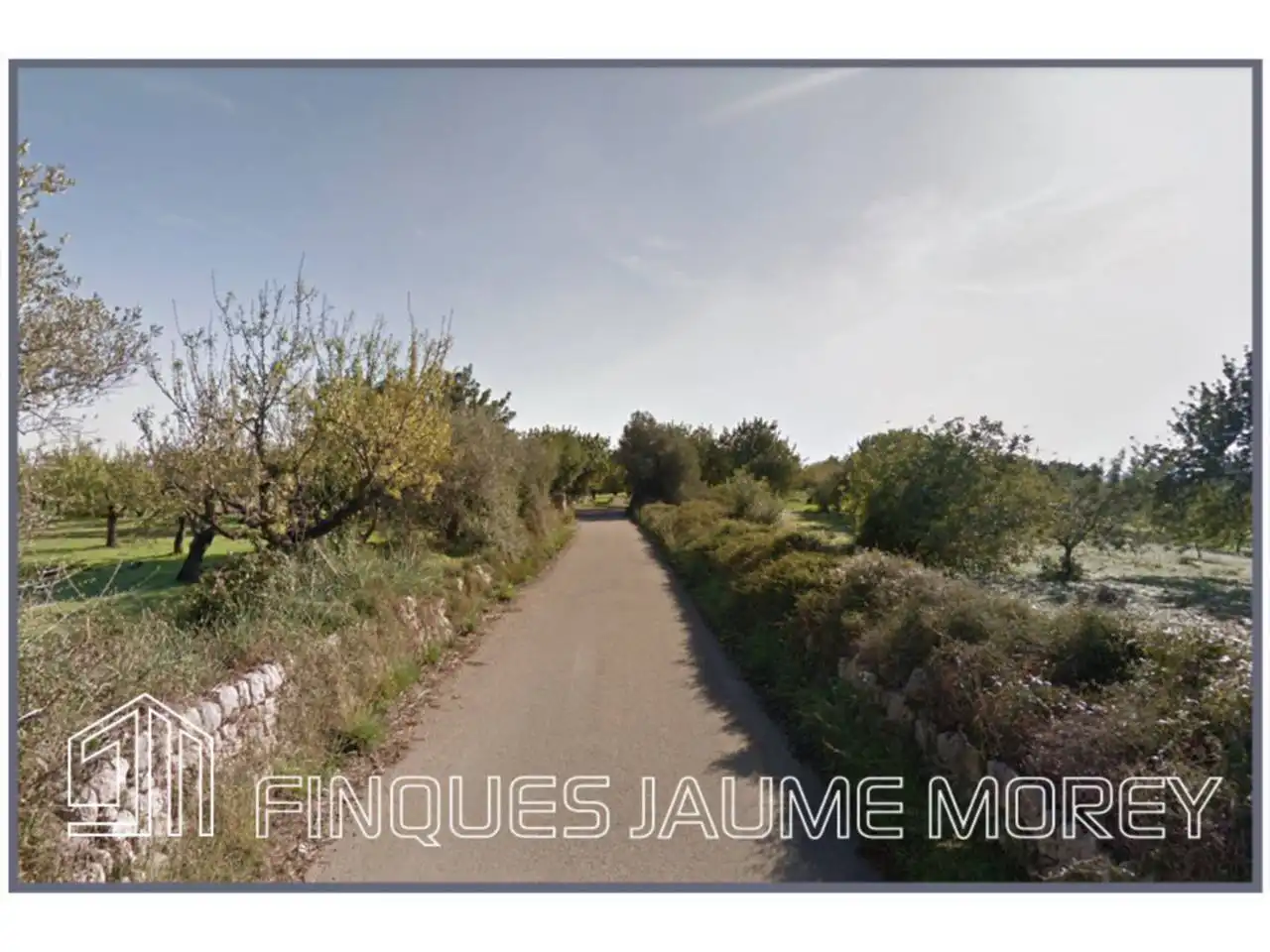 Terrain rustique à vendre à Poligono 12 Sn, imagen 8