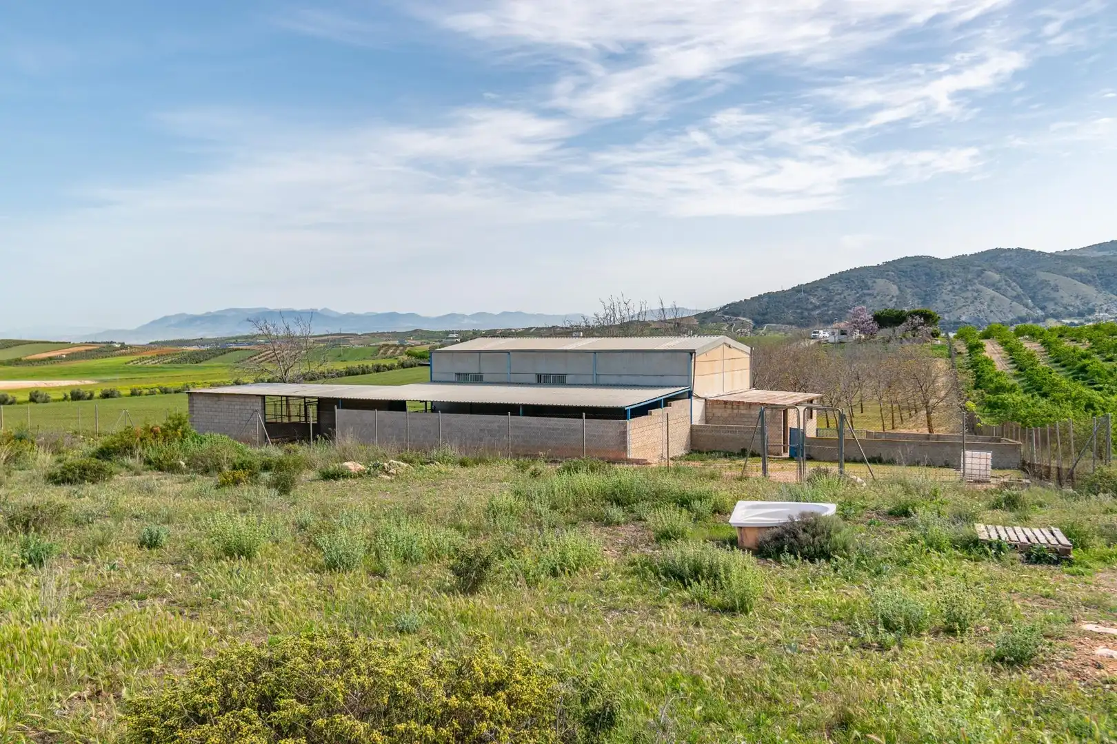 Rural land for sale in Padul, imagen 53