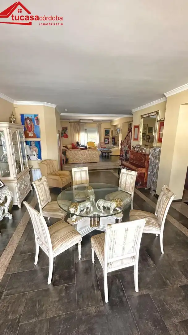 Xalet amb jardí en venda a Peñarroya-Pueblonuevo, imagen 23