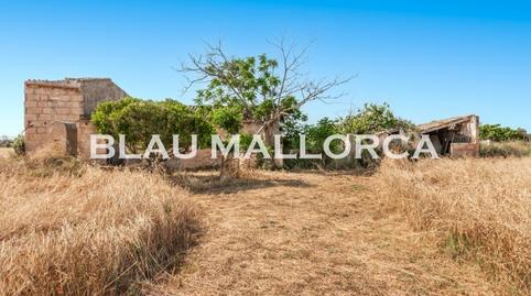 Photo 4 of Country house for sale in Manacor Centre, Illes Balears