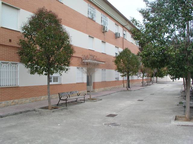 Garaje en Alquiler en Calle Malacuera, 36 en Torrelaguna