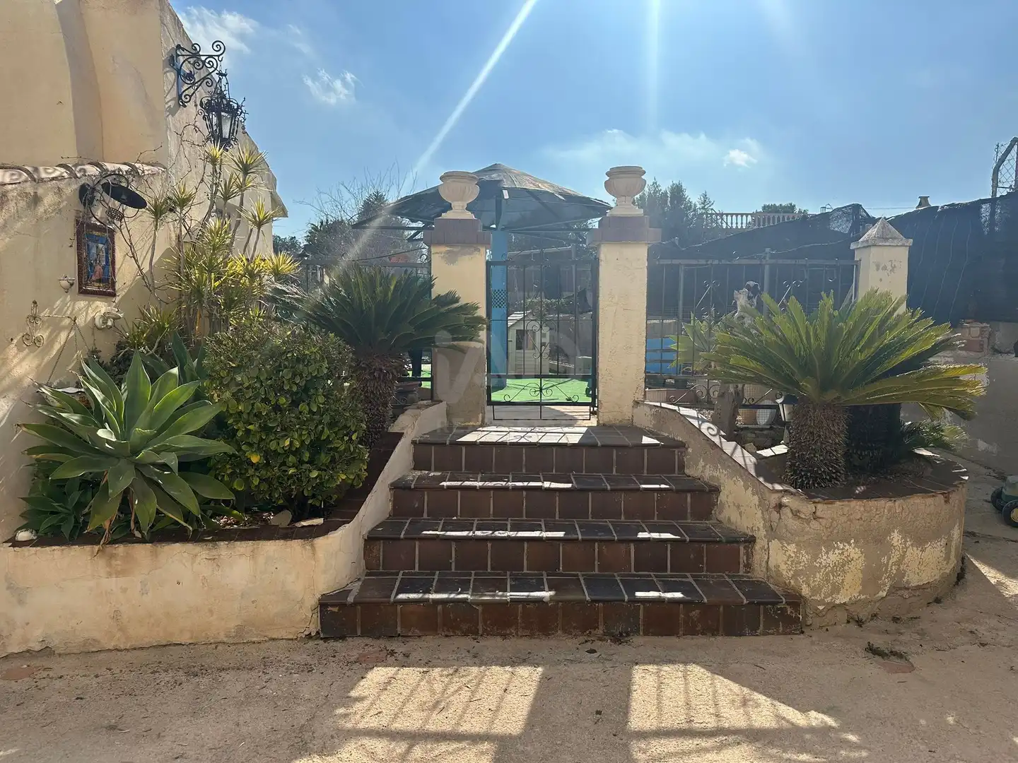 Land for sale in El Pino