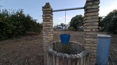 Foto 4 de Casa o xalet en venda a Pelagatos - Pago del Humo, Cádiz