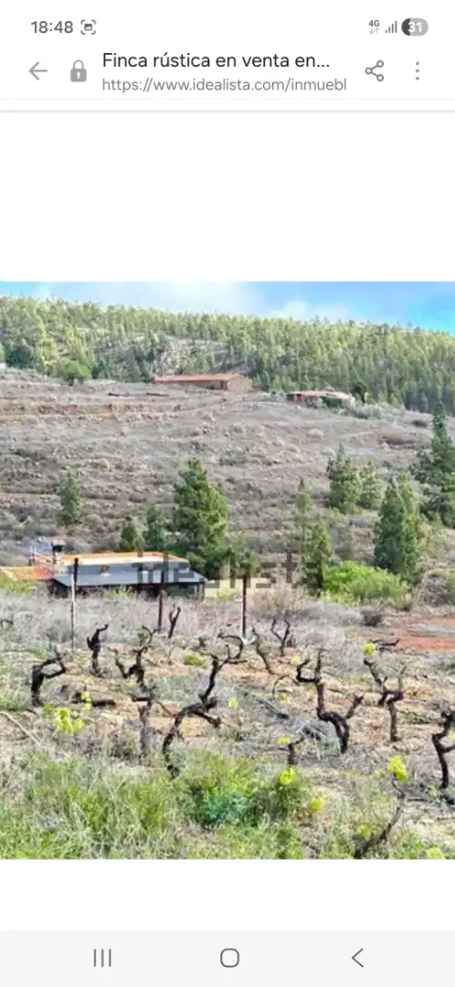 Terreno rustico in vendita a Calle la Capellanía 59, imagen 12