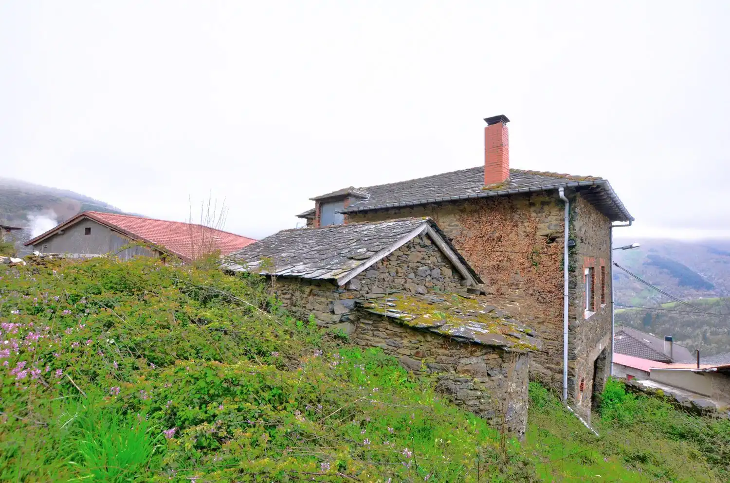Exterior view of Houses for sale in Cangas del Narcea  with Heating, Storage room and Swimming Pool