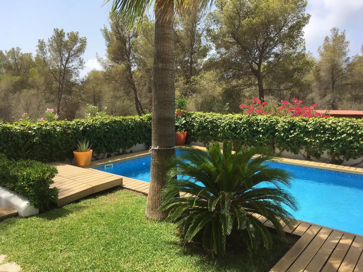 Casa con piscina en venta en Sol de Mallorca, imagen 2