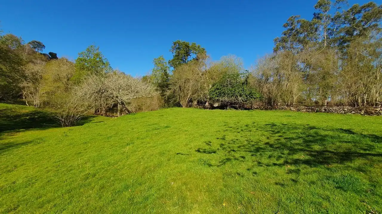 Finca rústica en venta en Llanes