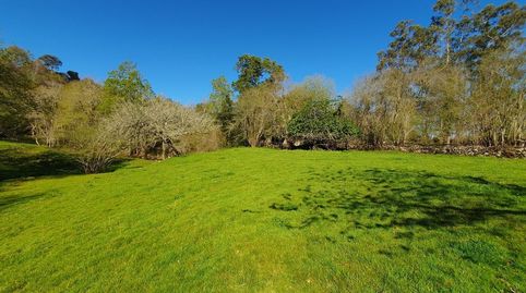 Foto 5 de Finca rústica en venta en Celorio - Poó - Parres, Llanes
