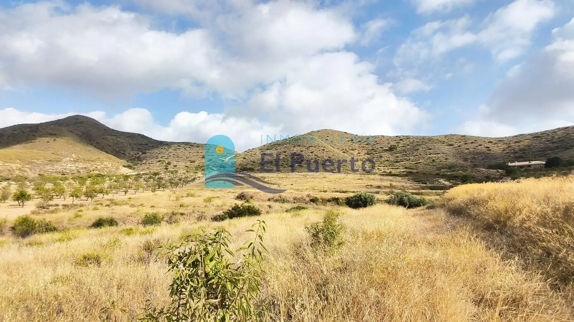 Terreny rústic en venda a Pedanías Sur, imagen 17