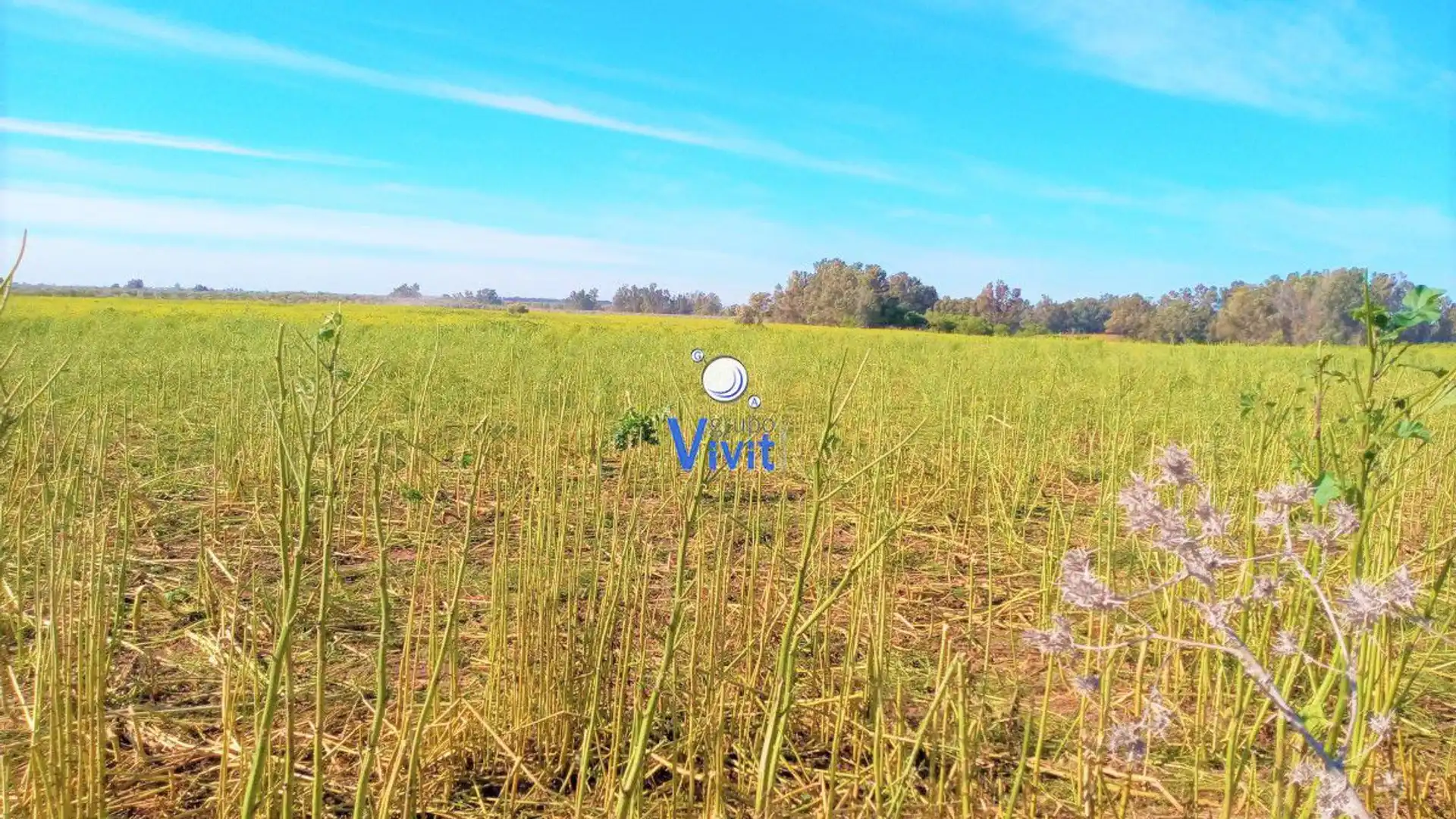 Finca rústica en venta en Mairena del Alcor