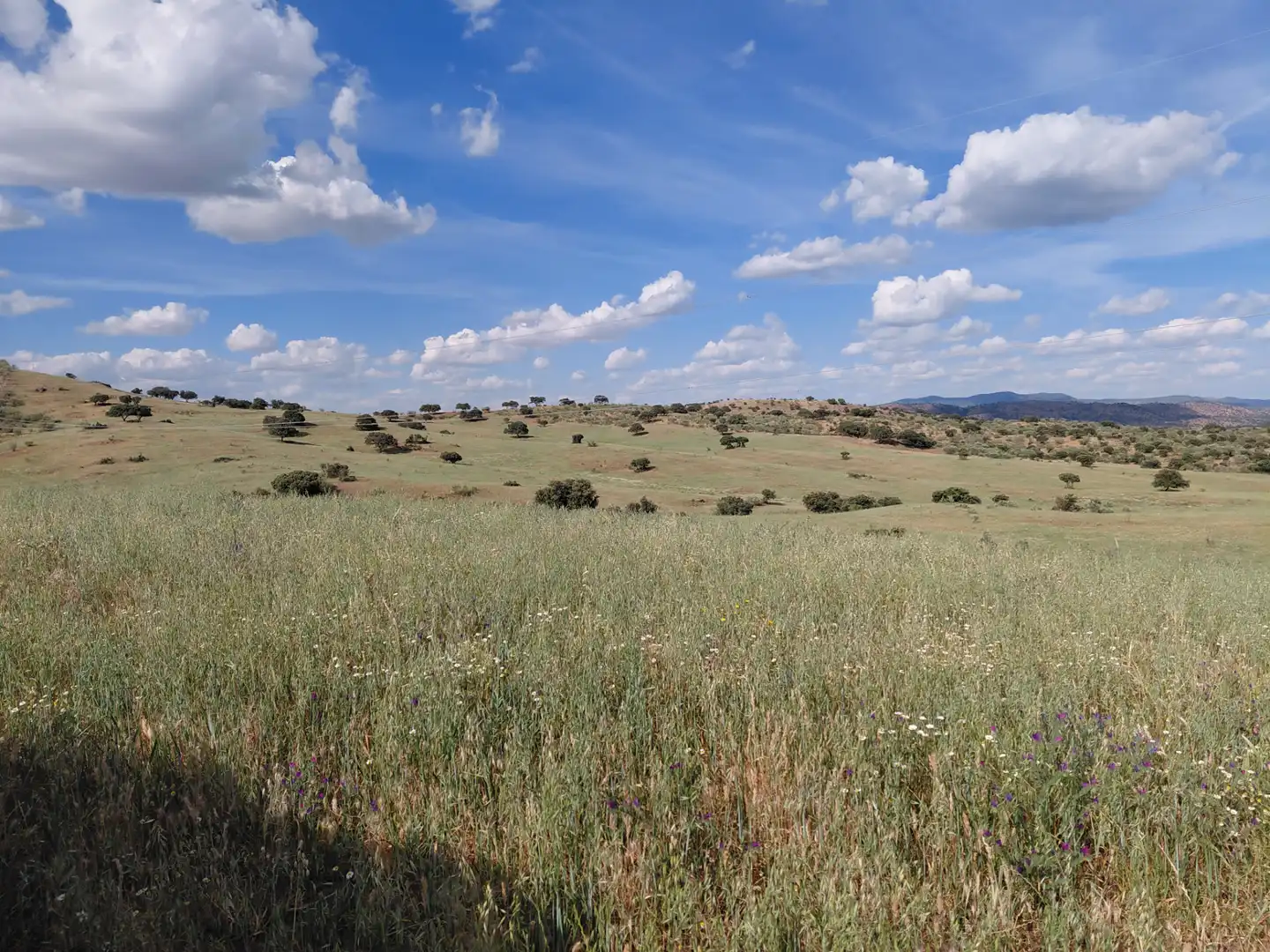 Finca rústica en venda en Fuente de Cantos amb Jardí privat, Forn i Rentadora
