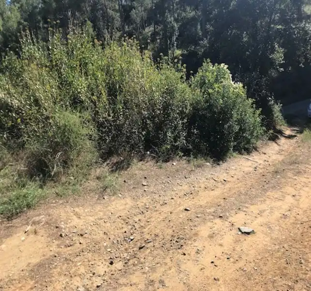 Terreni e lotti in vendita a Riudecanyes, imagen 9