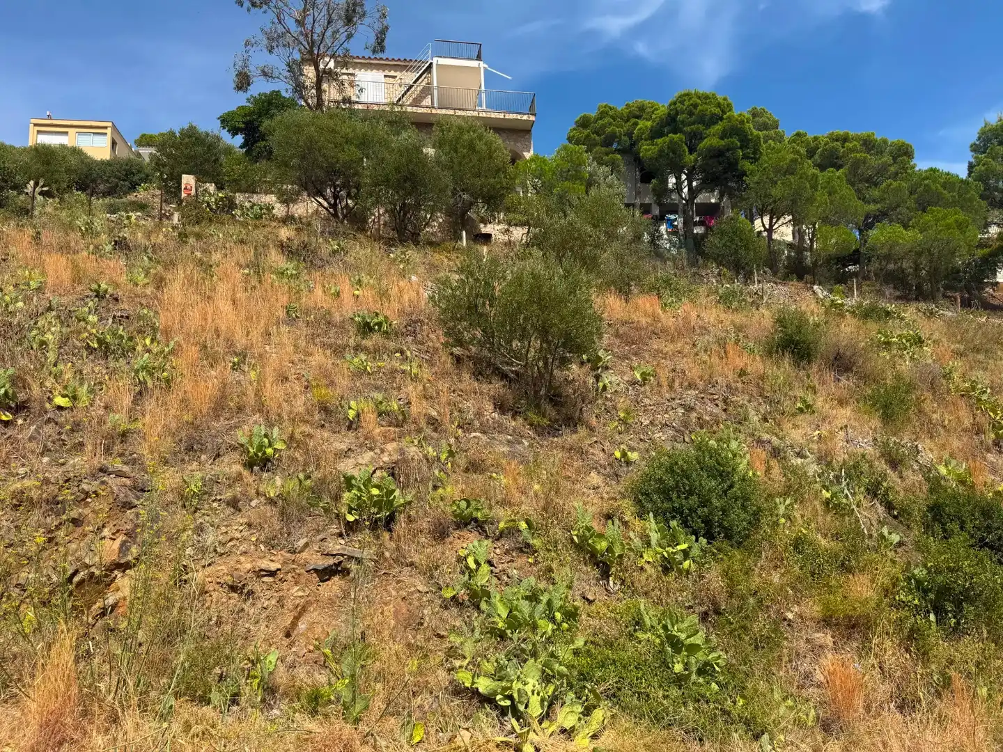 Residential land for sale in Colera, imagen 3