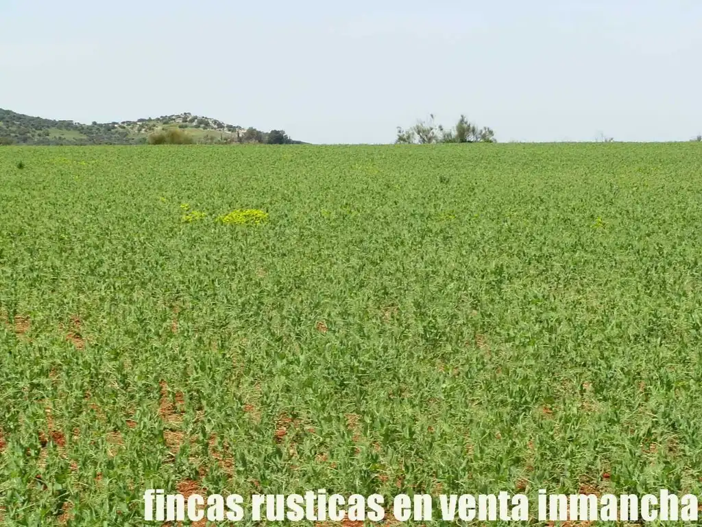Terreno rustico in vendita a Centro - Plaza Mayor, imagen 19