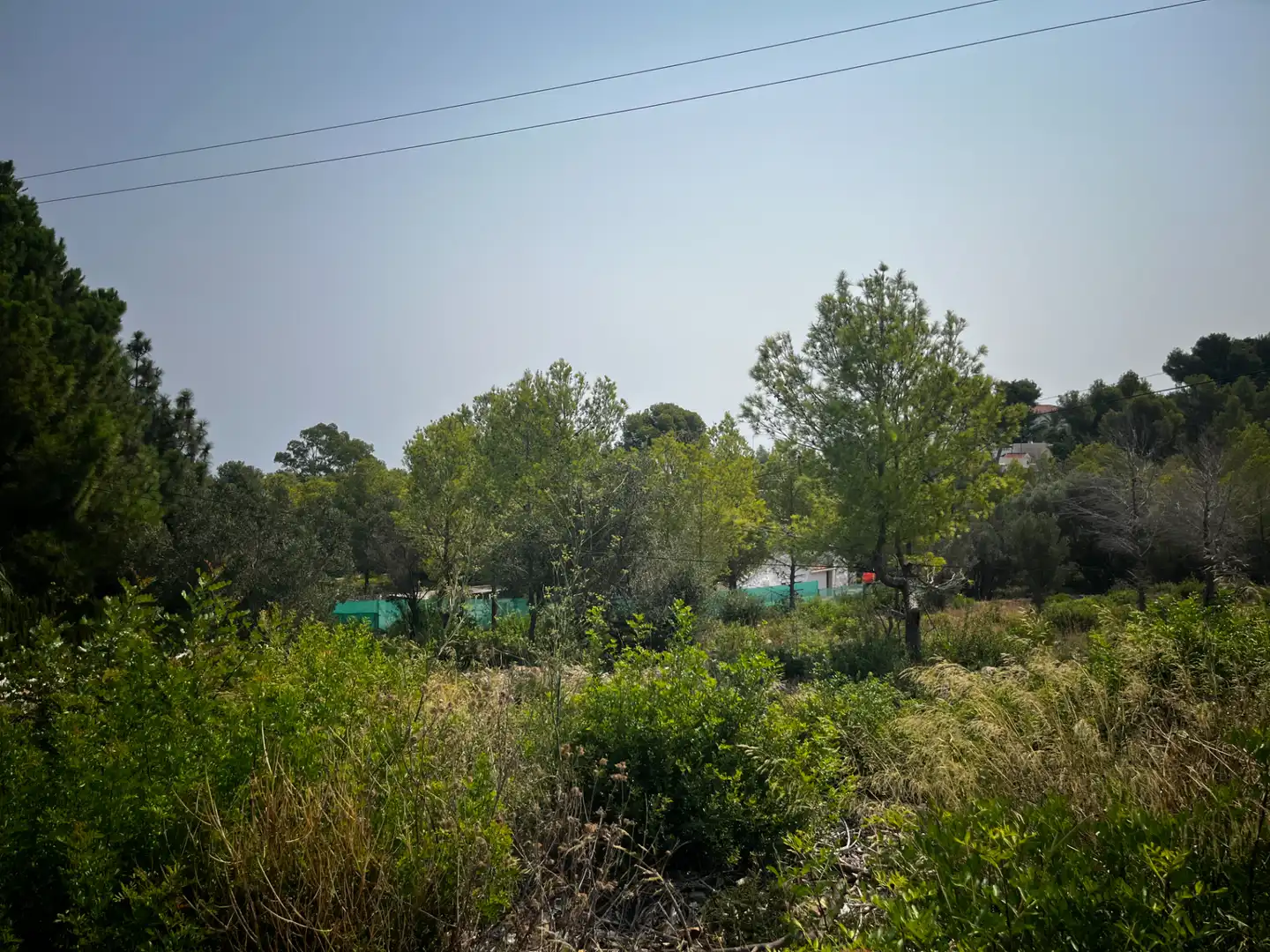 Terreny residencial en venda a Carrer Peixos 1, imagen 19