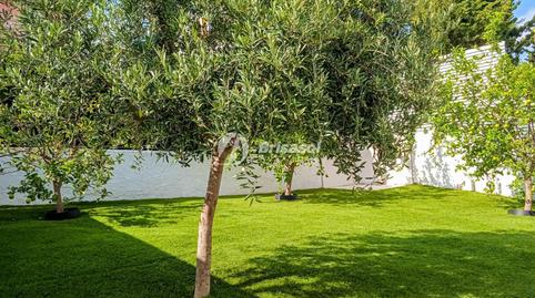 Foto 3 de Casa o xalet en venda a Calle del Xiprer, Pino Alto, Mont-roig del Camp