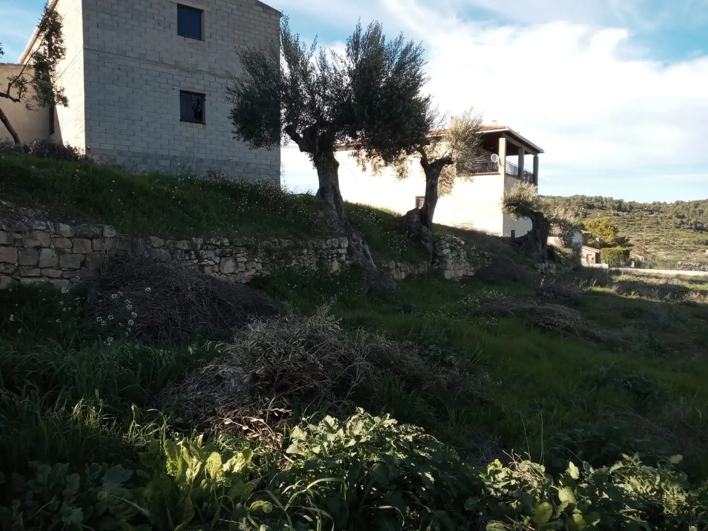 Terreni e lotti in vendita a Lledó, imagen 5
