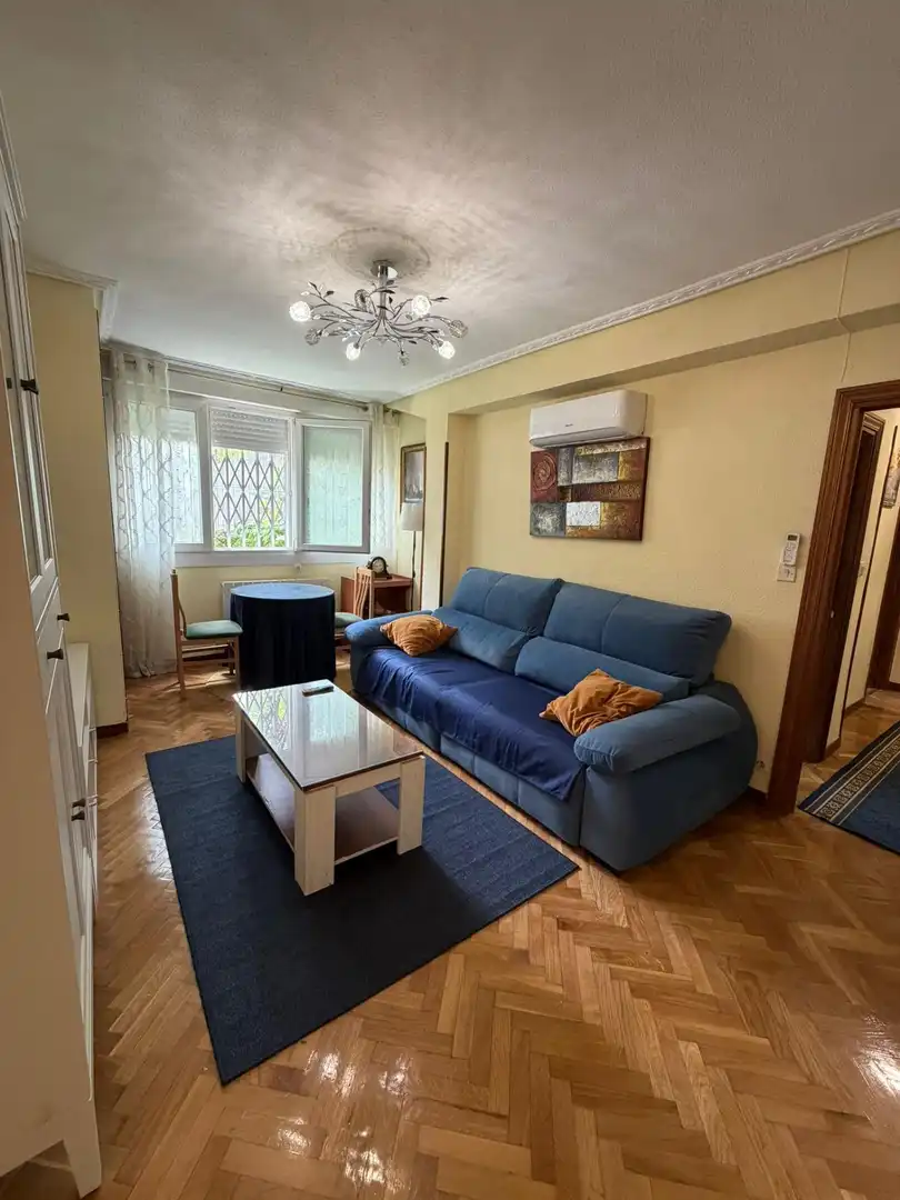 Sala de estar de Piso de alquiler en Madrid con Aire acondicionado, Calefacción y Parquet