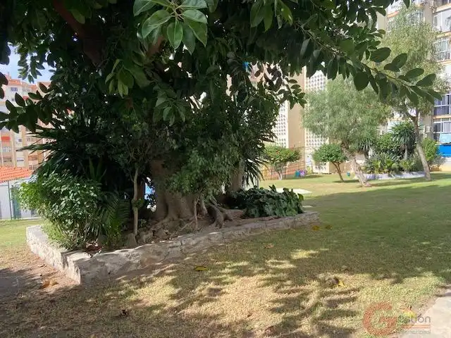 Estudi amb piscina en venda a La Cala del Moral, imagen 12