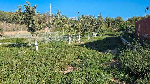 Foto 5 de Finca rústica en venda a Maspujols, Tarragona