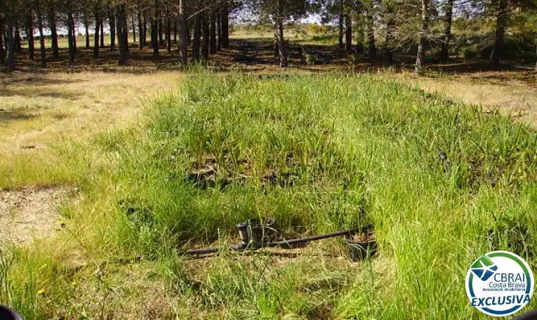 Terrenys i solars en venda a Garriguella, imagen 5
