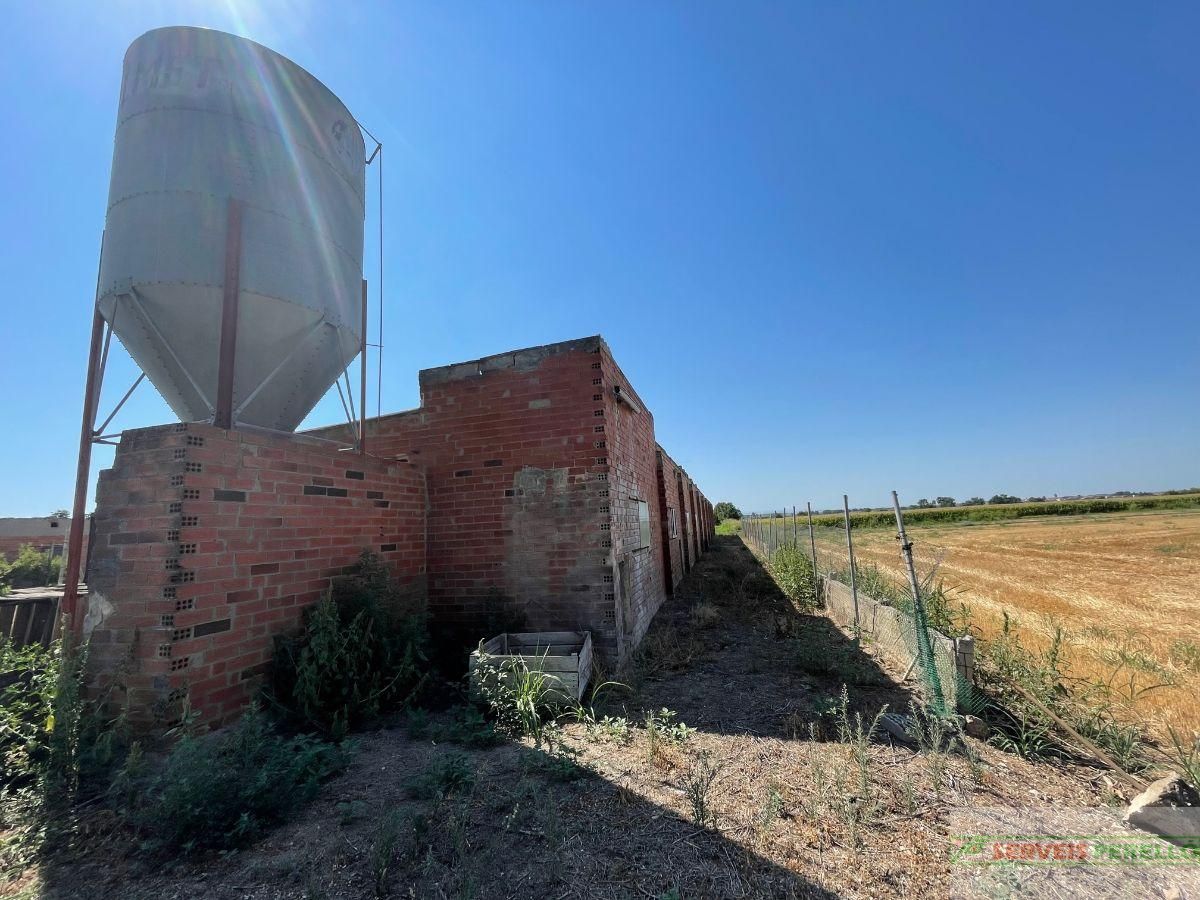 Exterior view of Country house for sale in Vila-sana