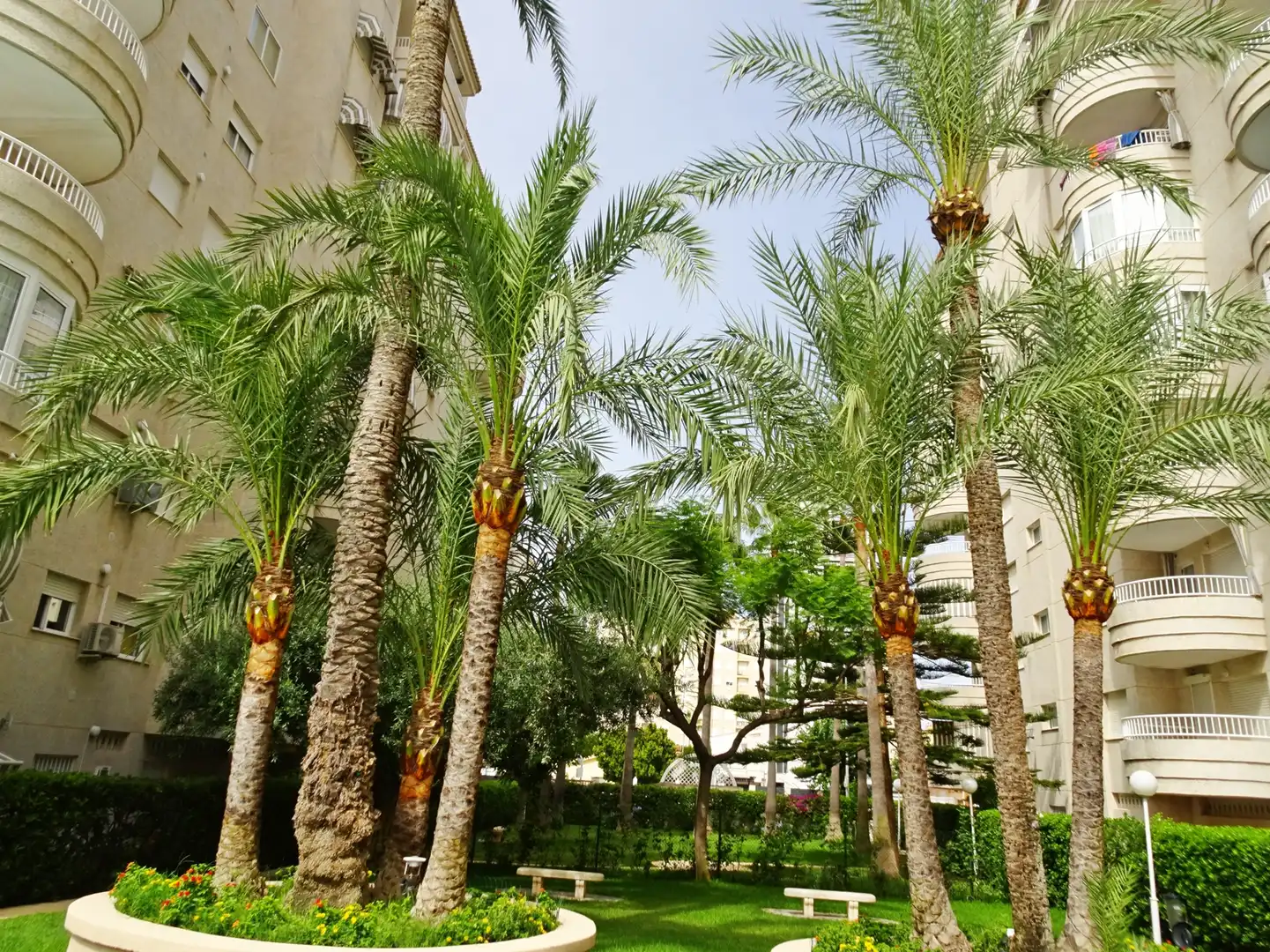 Apartament amb terrassa de lloguer a Playa de Gandia, imagen 36