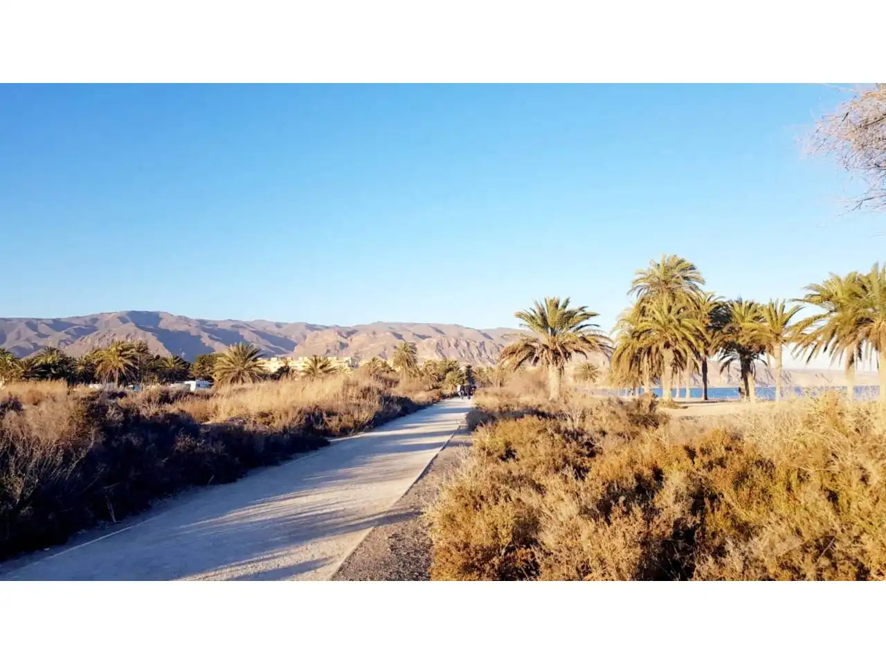 Exterior view of Houses for sale in Roquetas de Mar  with Air Conditioner, Heating and Private garden