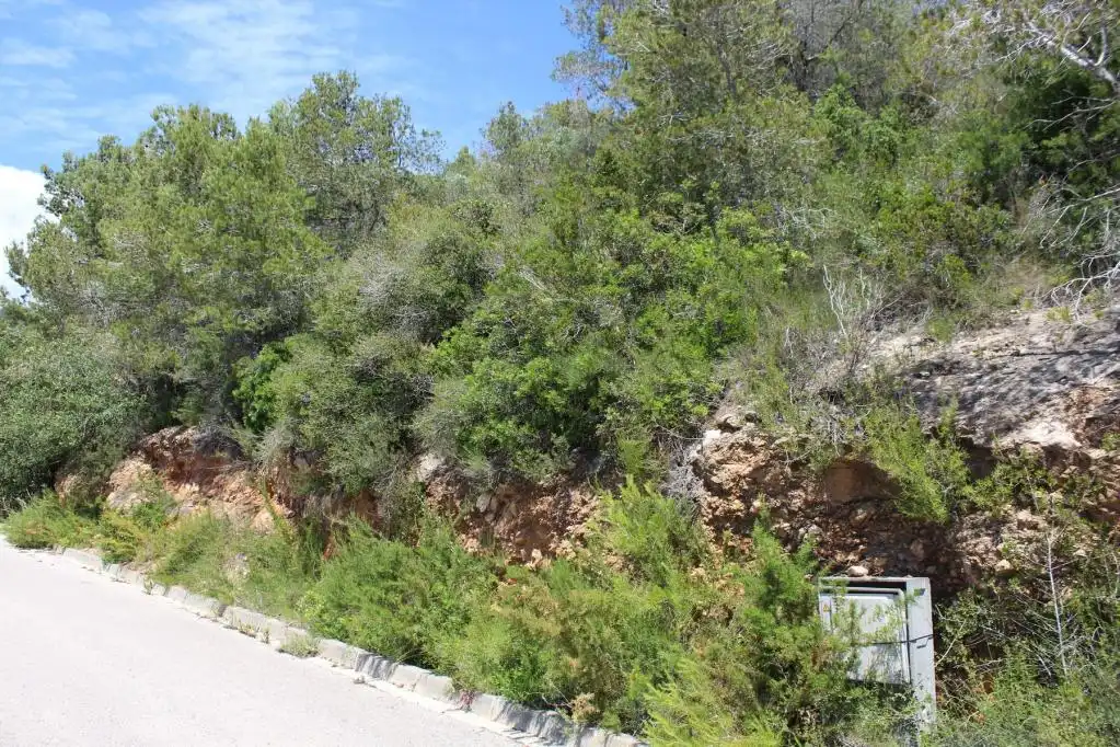 Rural land for sale in C/ Masferrer, imagen 9
