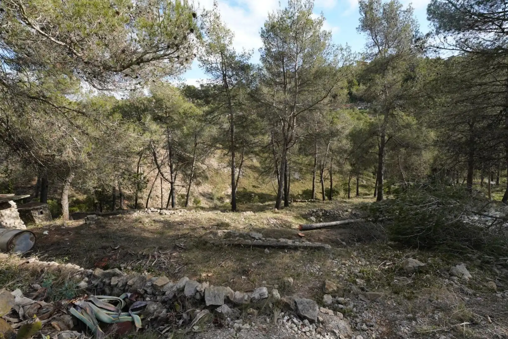 Terrenys i solars en venda a Olesa de Bonesvalls, imagen 10