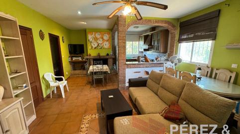 Photo 4 of House or chalet for sale in Urbanizacion el Cebollar, 253, Peñaflor, Sevilla