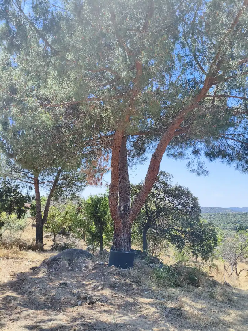 Residencial en venta en Calle de las Hoyuelas, Fresnedillas de la Oliva
