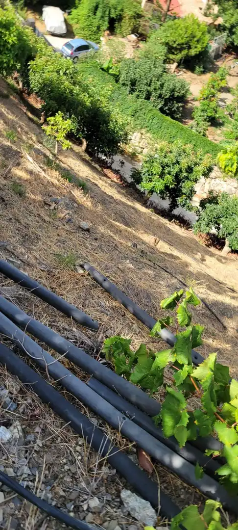 Terreny rústic en venda a Vélez-Málaga ciudad, imagen 6